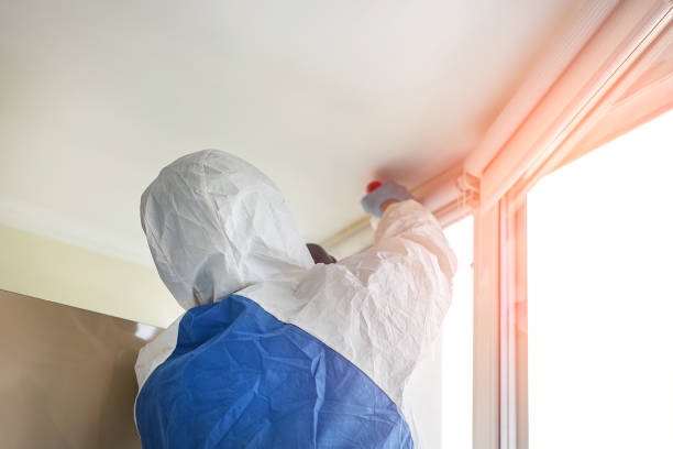 East St Louis, IL Mold Removal & Remediation Company