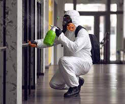 Mold Odor Removal Services in East St Louis, IL